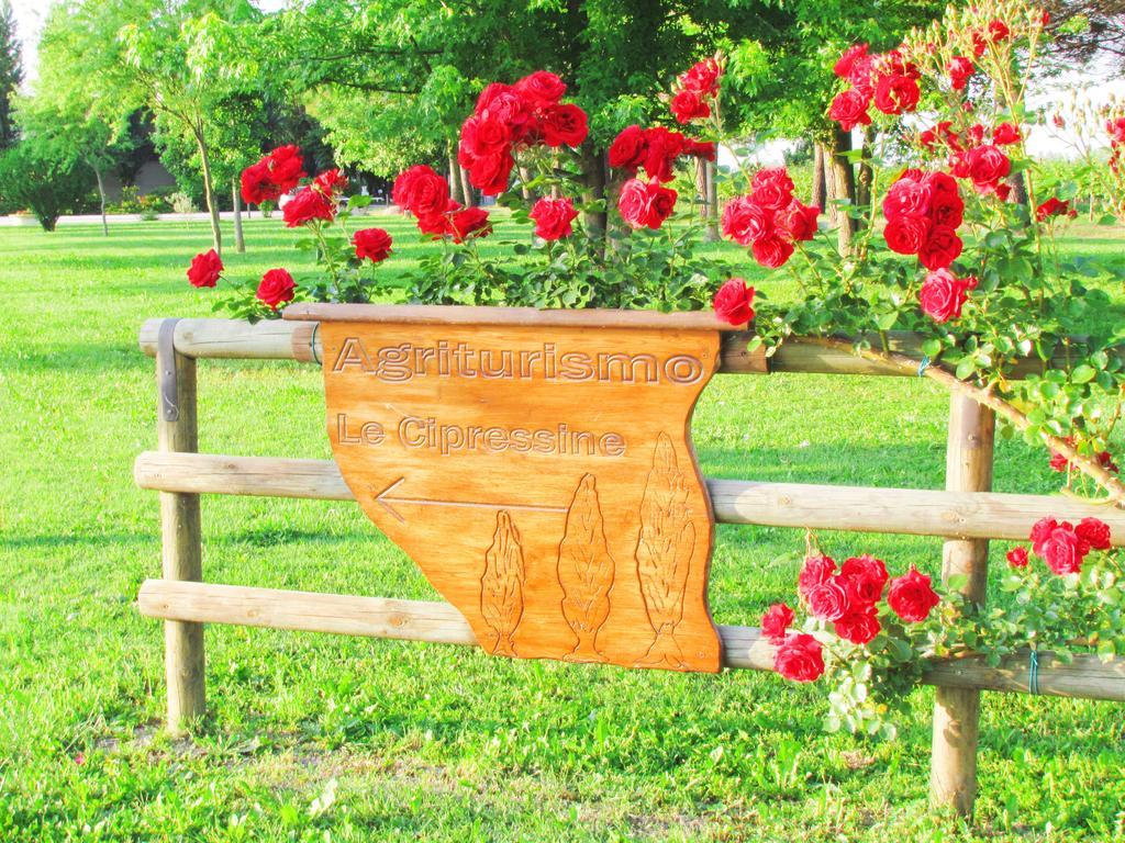 Agriturismo Le Cipressine Meolo Ngoại thất bức ảnh
