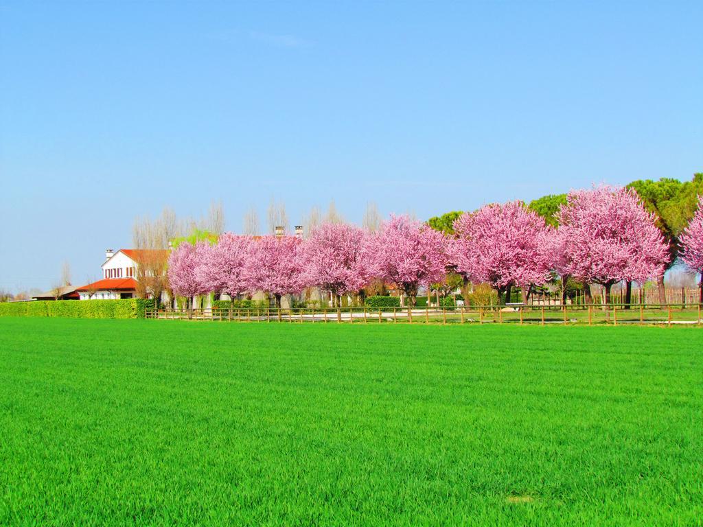 Agriturismo Le Cipressine Meolo Ngoại thất bức ảnh