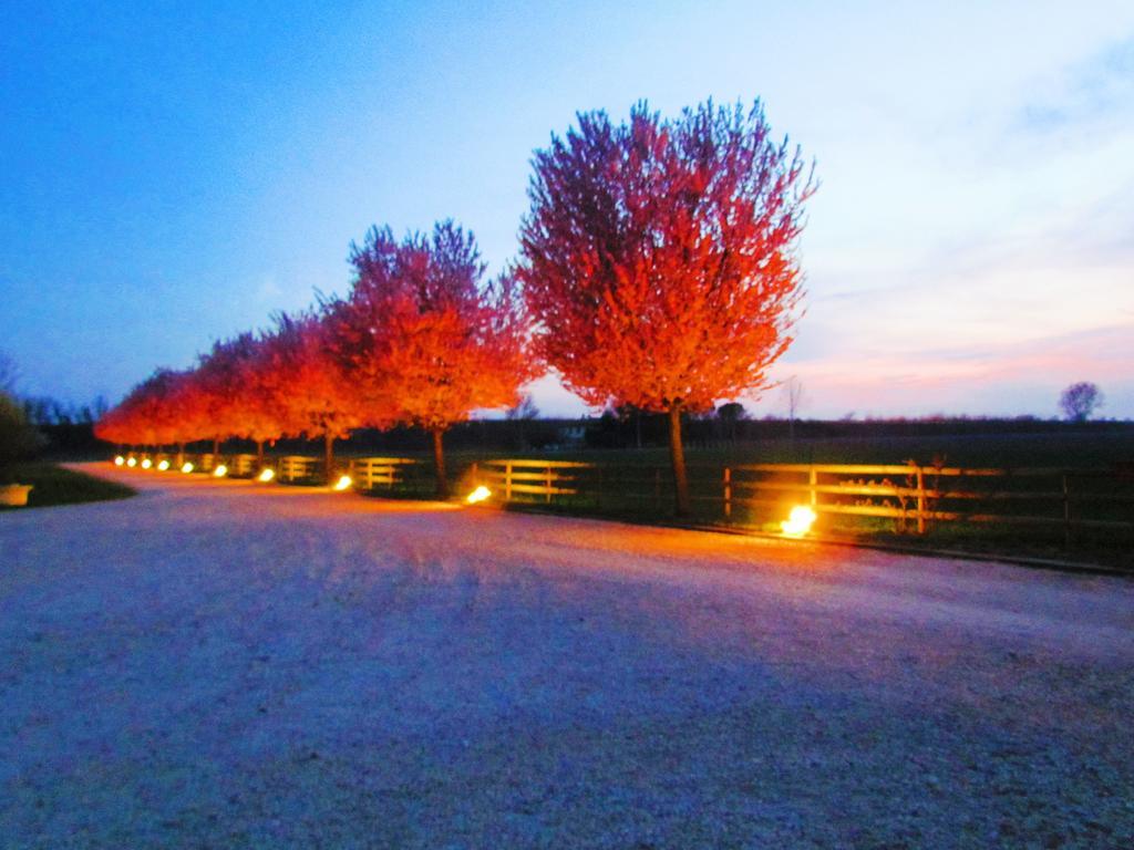 Agriturismo Le Cipressine Meolo Ngoại thất bức ảnh